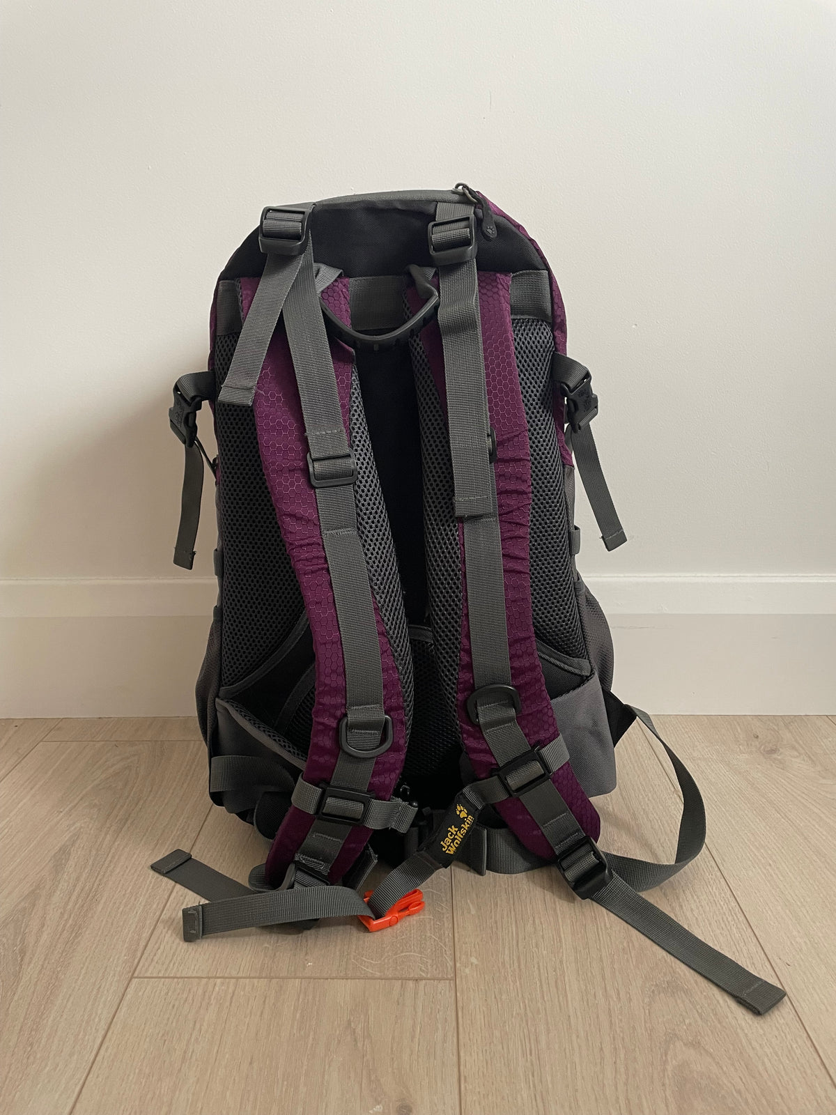 Gold Beetle 30L Pack