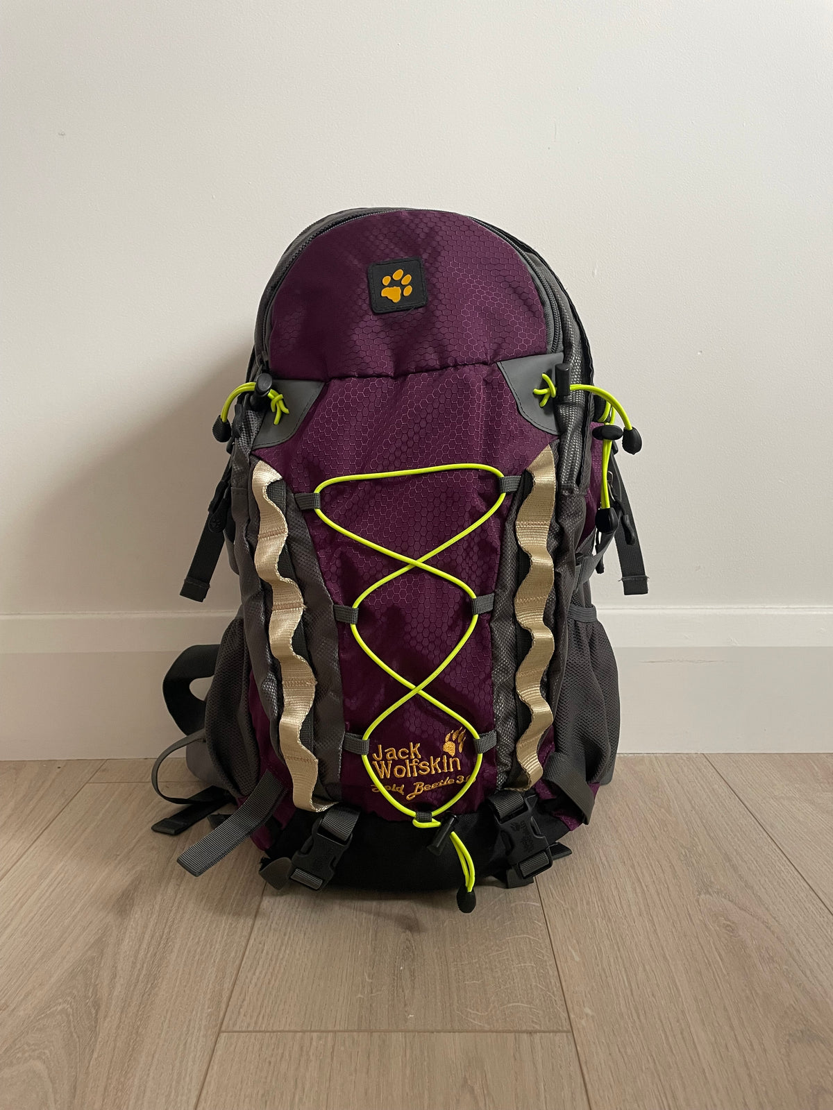 Gold Beetle 30L Pack