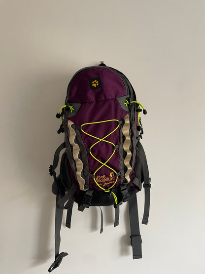 Gold Beetle 30L Pack